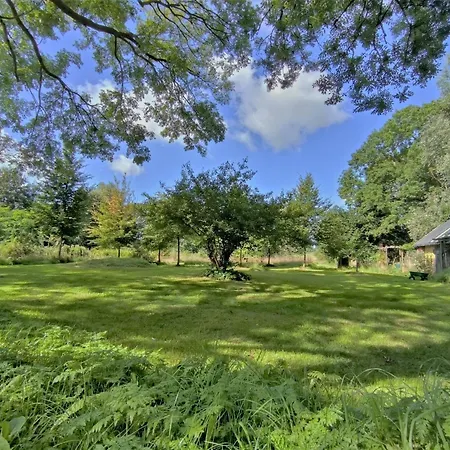 Marx - Urlaubstraum Im Gruenen Binnenland *